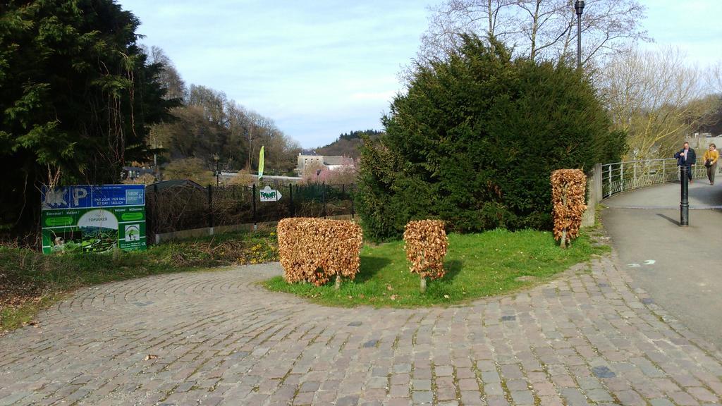 La Tulipe Apartment Durbuy Luaran gambar